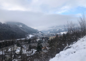 Winter view near Mürzzuschlag - A. Sal-Nia